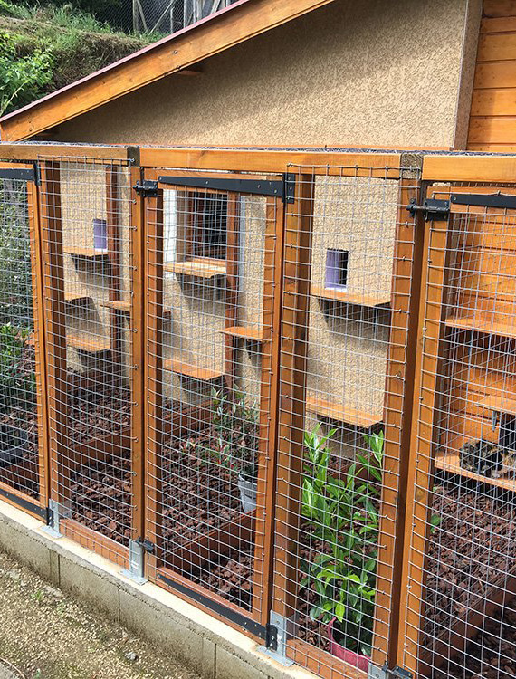 Box des chats de la pension du Moulin Pommier pour la nuit