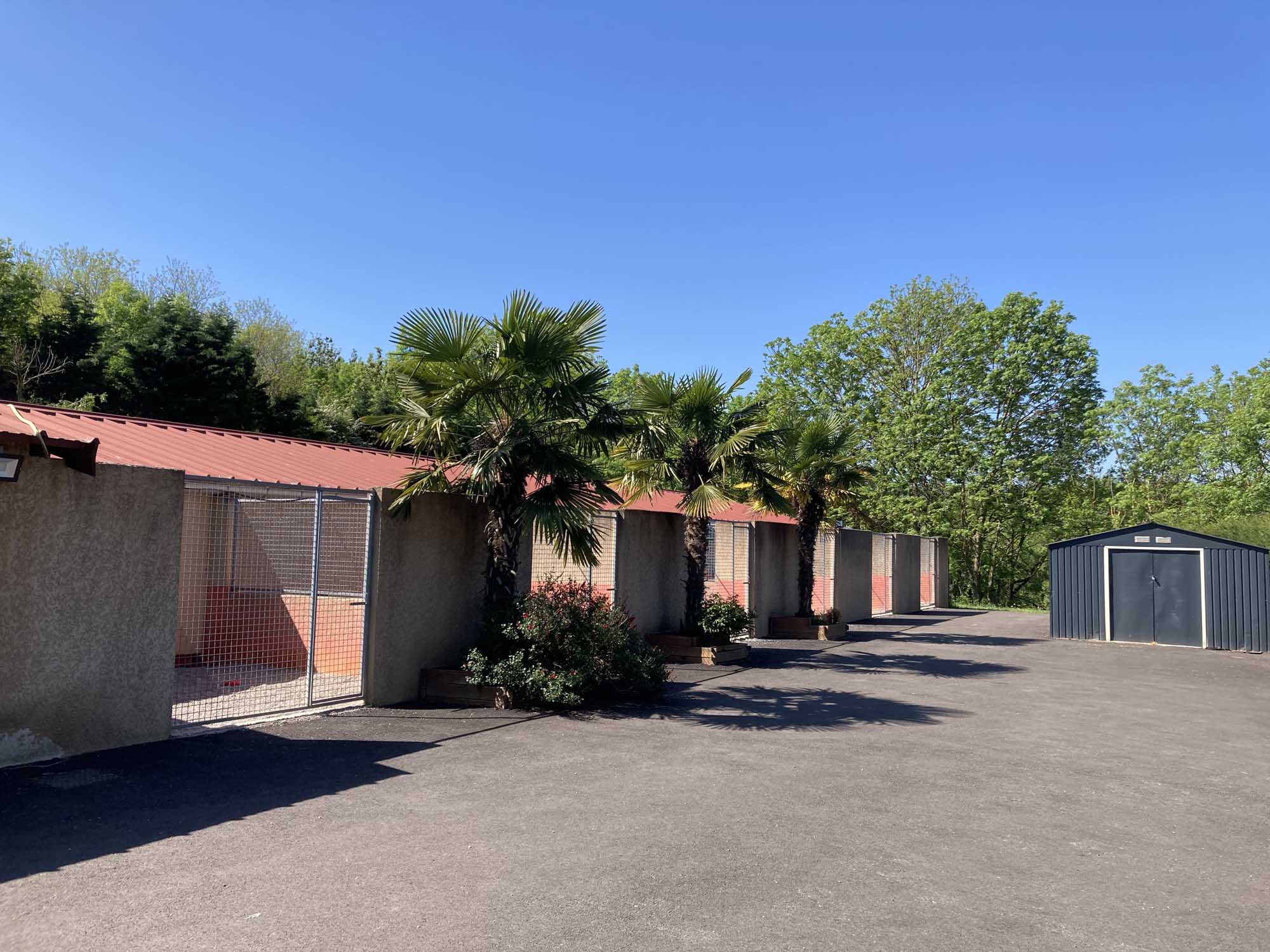 Enclos des chiens extérieur