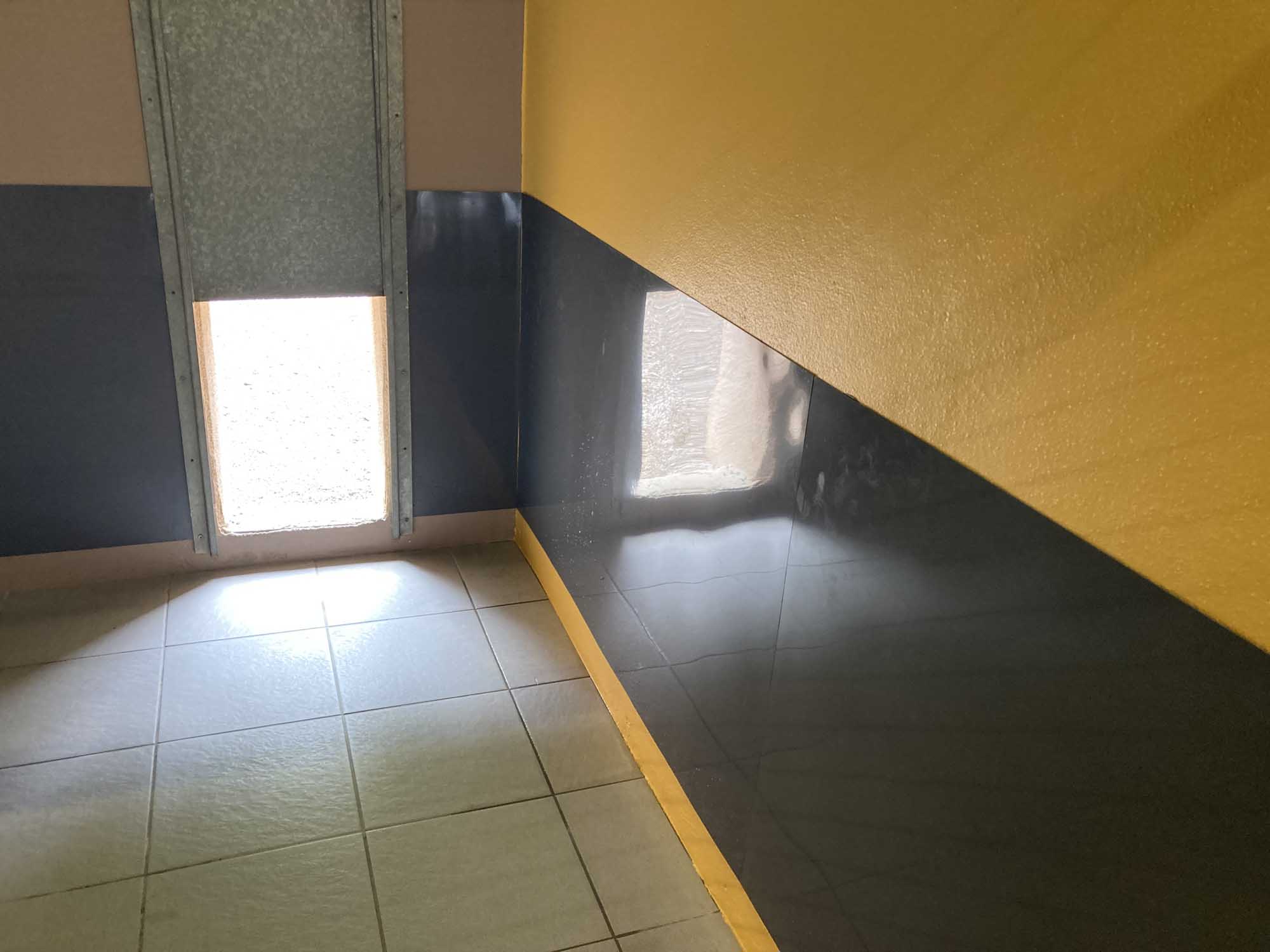 Enclos des chiens extérieur