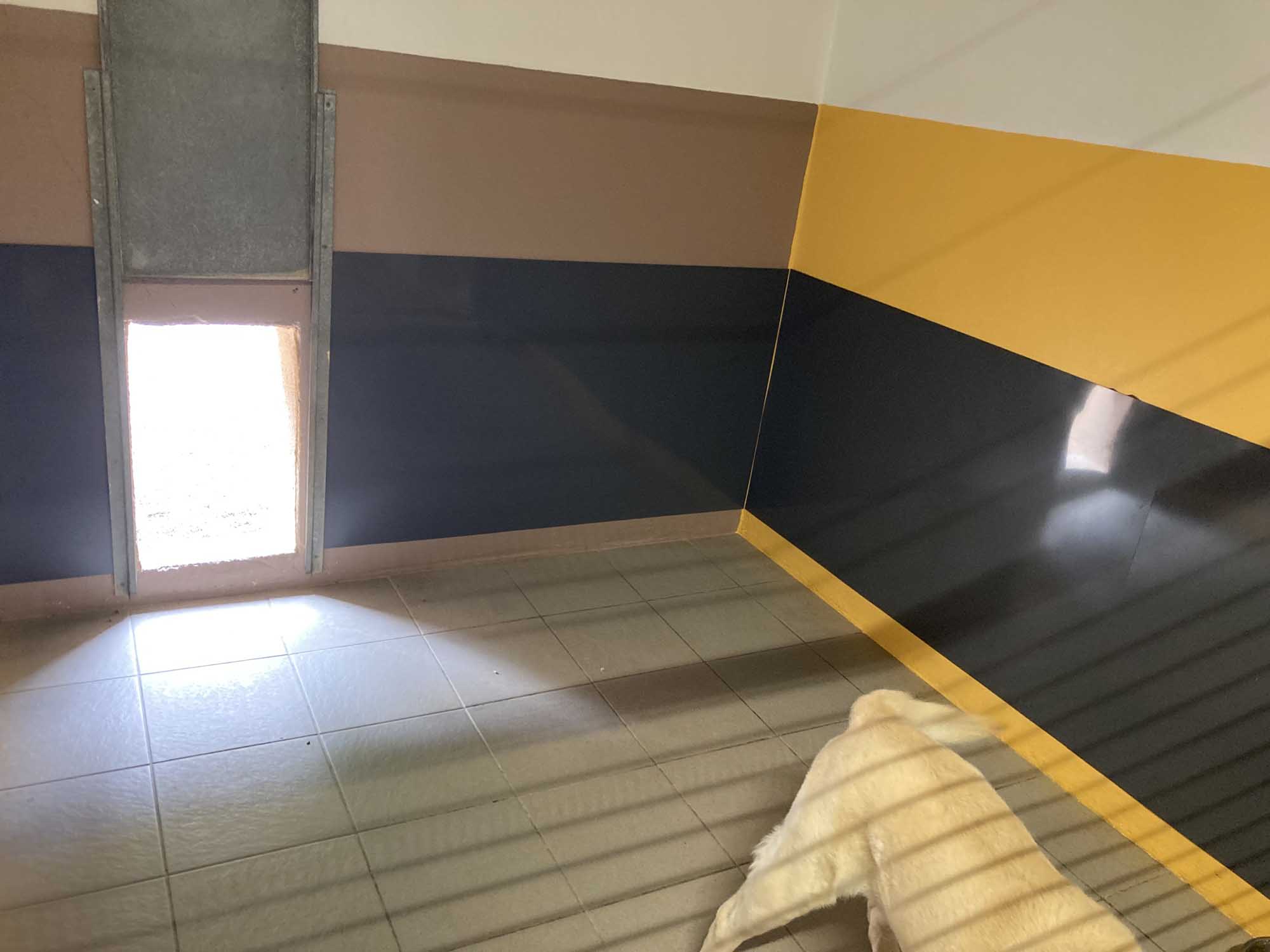 Enclos des chiens extérieur