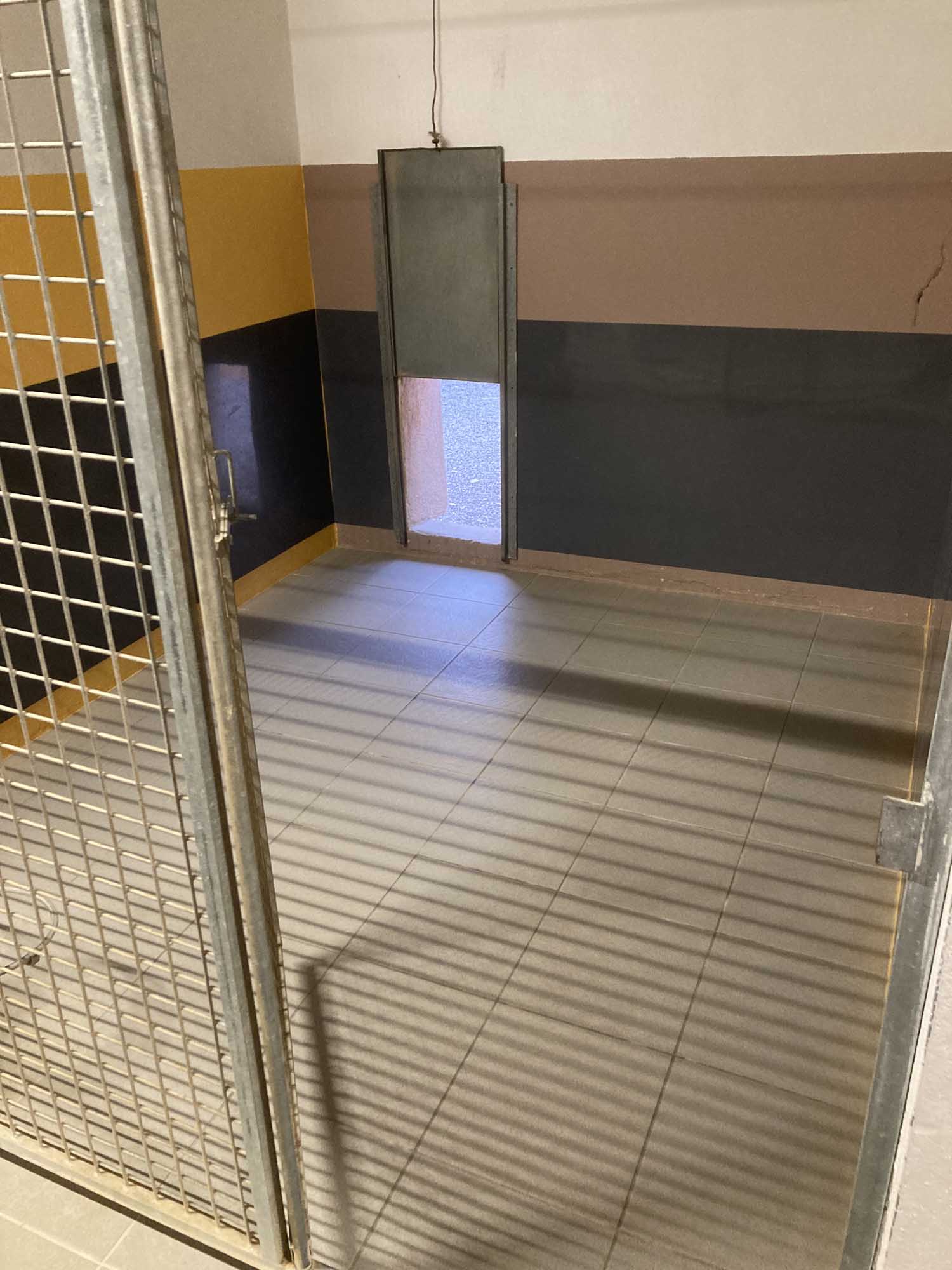 Enclos des chiens extérieur