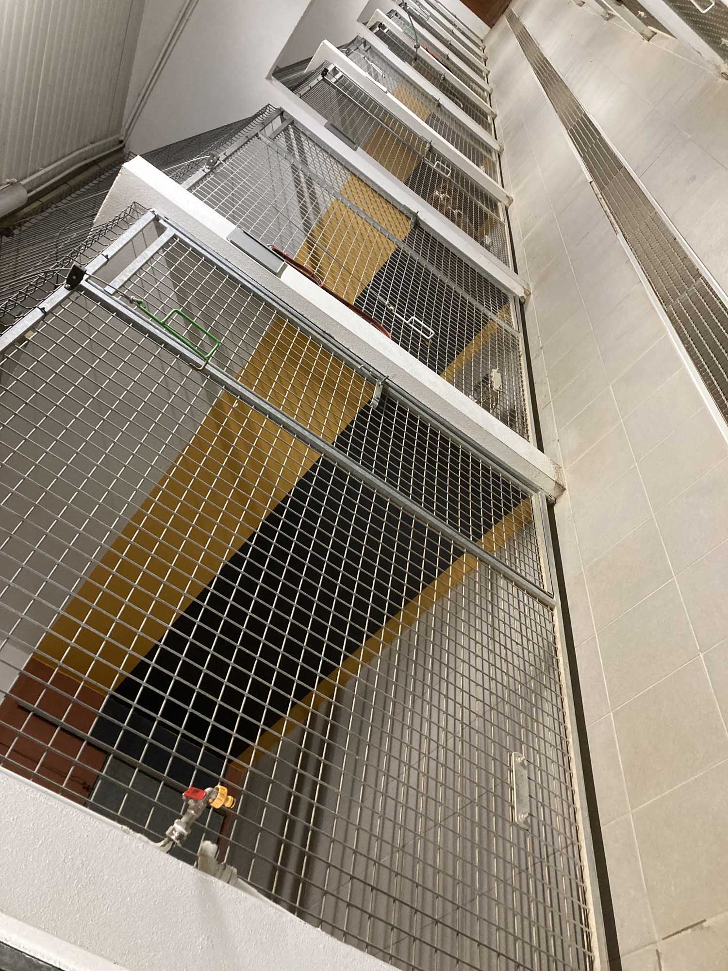 Enclos des chiens extérieur