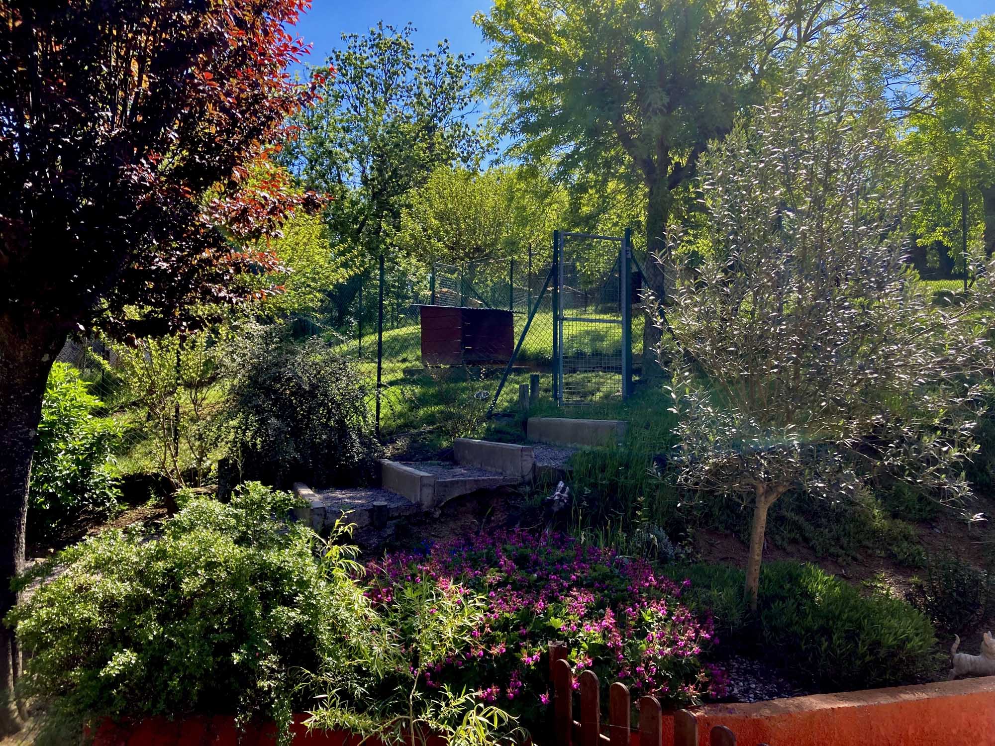 Enclos des chiens extérieur