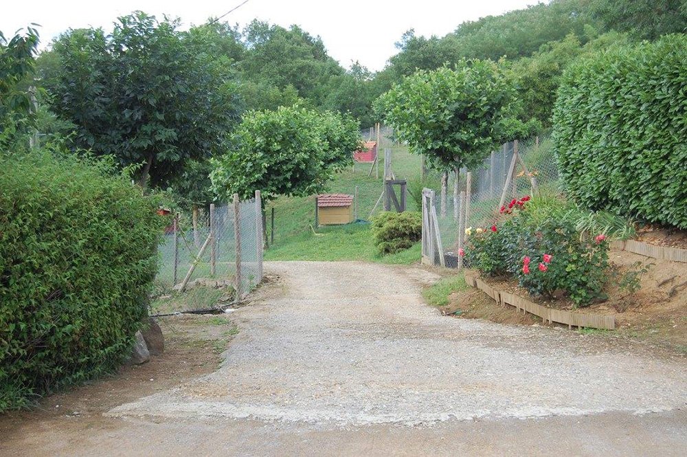 Extérieur de la pension pour chats et chiens Moulin Pommier