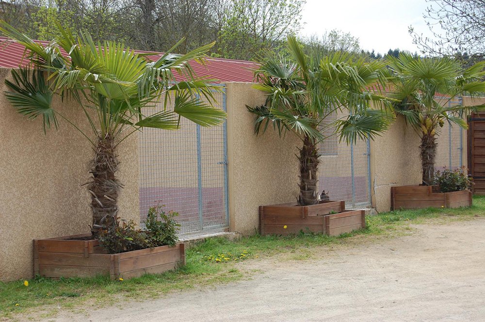 Boxes extérieurs de la pension