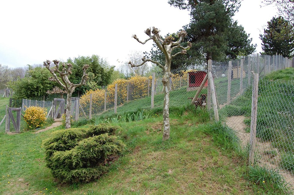 Jardin extérieur de la pension du Moulin Pommier