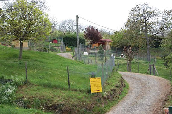 Extérieur de la pension avec les enclos des chiens et chats